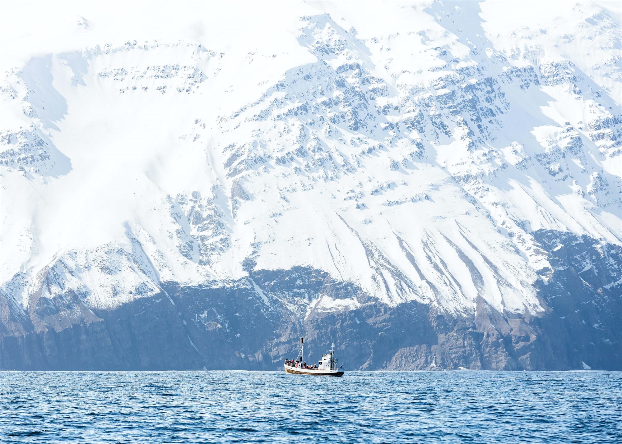 Whale watching tour boat in Húsavík, Iceland with snow-covered mountain backdrop